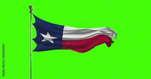 Texas State Flag Waving on chroma key background. Unites States of America footage, USA flag animation