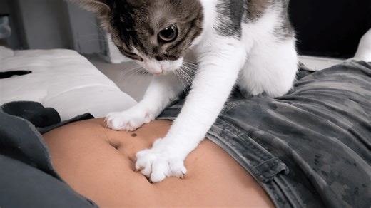 Cat starts unplanned late night massage