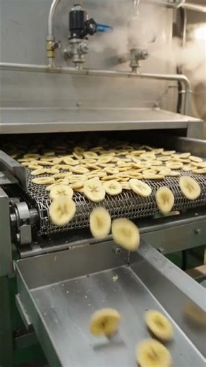 Banana Drying Factory 🍌😱 | Fresh Bananas Turned into Dried Banana Chips! #shorts #reels