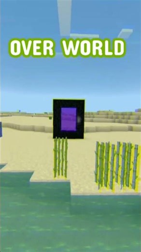 Over world VS Nether