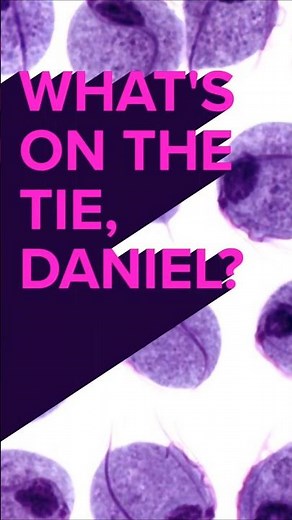 It's STD Friday! Trichomoniasis