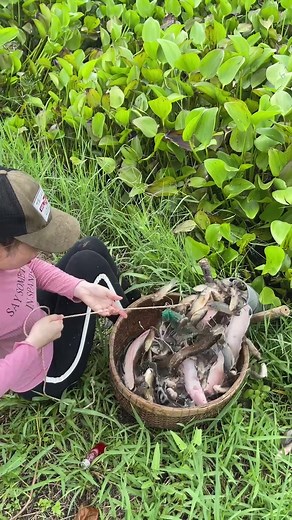 Grandpa Fishing trên TikTok