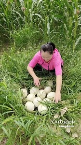 27K views · 71 reactions | Wao! Such a Wonderful Ostrich Farm! | Sabelo Ntombeningi | Facebook