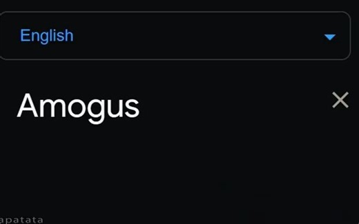 来自不同国家的AmogUs