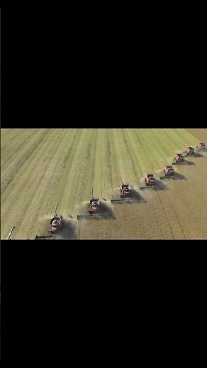 20 Combine Harvesters Working Together and Massive Wheat Harvesting Operation