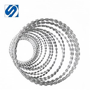 [Hot Item] Razor Barbed/Stainless Steel Wire Mesh Fence Welded Wire Mesh Iron Wire