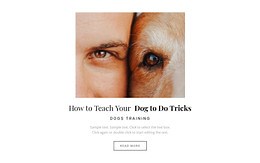 Dog it's a best friend - Website Design by Nicepage