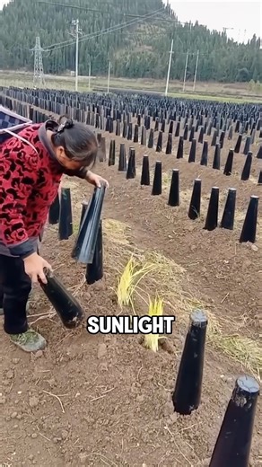 The process of applying a pebble finish to a swimming pool is fascinating to watch #diy #working #machine | ᴛᴇᴍᴀᴢᴏꜱ ᴘᴀʀᴀ ᴄᴏᴍᴘᴀʀᴛɪʀ | Facebook