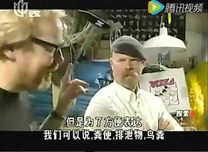 流言终结者【国语】