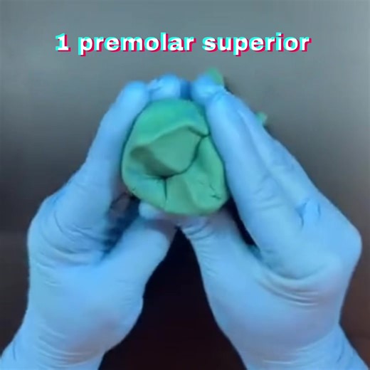 El Primer Premolar Superior: Estética y Función Dental