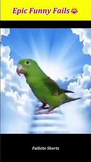 Ultimate Fail Compilation🤣|Best Fails Ever Caught on Camera #funny #funnyvideos #epicfails #fails