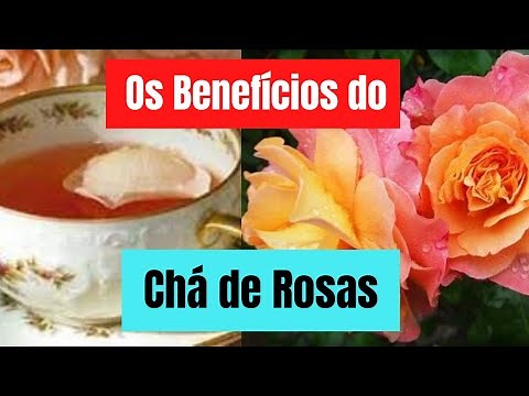 Para Que Serve o Chá de Rosas e Como Fazer.