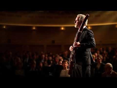 Bassoon Music Instrumental+Best classical Solo Relaxing Music,Music Therapy For Depression..