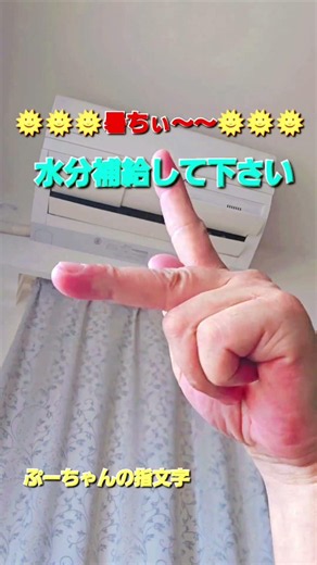 上を向いて歩こう#指文字#ぷーちゃんの手話うた