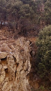 Heard a lot of fuss about the GOAT! #Markhor #goats #GOAT #mountains #messi #ronaldo | Rewild with ABD