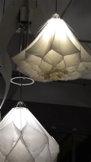 66K views · 290 reactions | Nature is constantly moving, says Lonneke Gordijn — here’s how she’s creating art that does the same: #Art #Technology #Nature | TED | Facebook