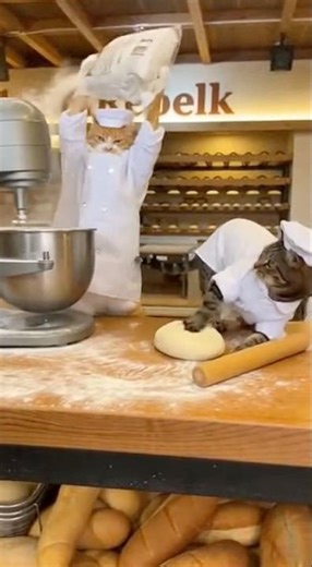 Two cat bakers start a real fight in 10s #cat #baker #workers #chaos #fighting #dough #ai