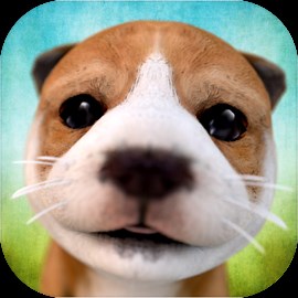 狗狗 Dog Simulator - TapTap