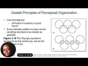 Chapter 3 Perception