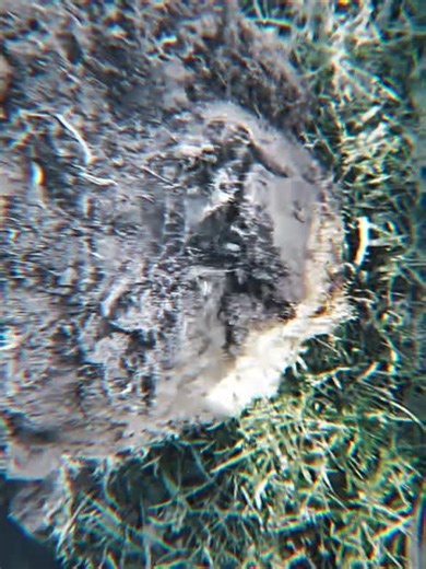 Metal Detecting Tips for Finding Hidden Treasure