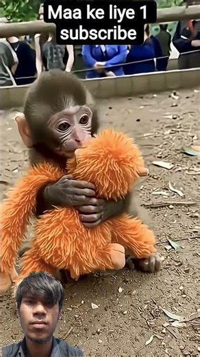 maa maa🙏🥹hoti hai #video #viral #animals #viralvideo #viraltrending #sad #shortvideo #mankey #shorts