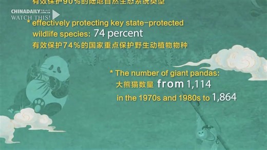 China has done well in protecting #nature and #wildlife in the last 10 years. Some rare animals like pandas are increasing. More parks and laws are helping. Watch the animation to learn more. | 国务院新闻办公室