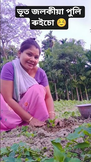 #justiceforzubeengarg #shortvideos #shorts #newsong #assameseshorts #reels #zubeengargmusic