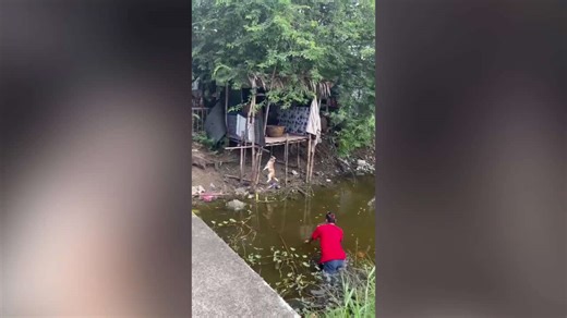 Pet dog left hanging by rope over canal saved just in time