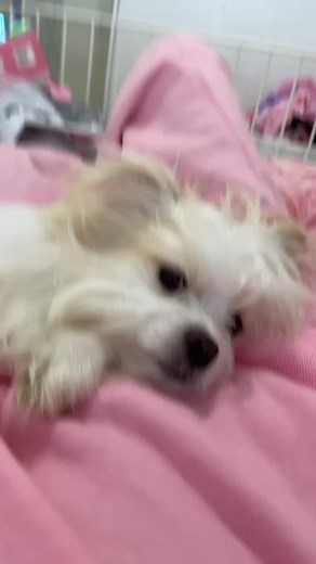 Shrinking Adventure: Small Time