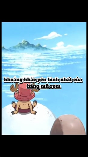 Khoảng khắc yên bình của băng mũ rơm !!