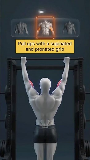 Pull-Ups Grip Guide | Supinated vs Pronated Grip Explained
