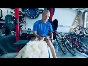 Popping Knee After Total Knee Replacement