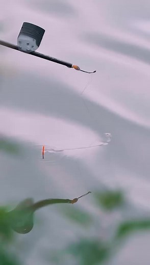 Wait for it.... #Fish #lake #FishingTok #Matrix #Fishing #FYP #Fy #Water