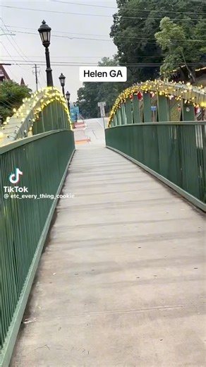 40K views · 1.2K reactions | Helen,Georgia on Reels | Facebook