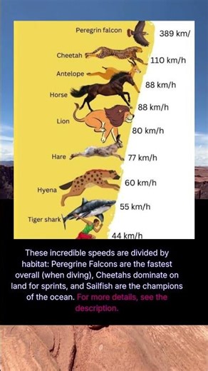The Fastest Animals in the World