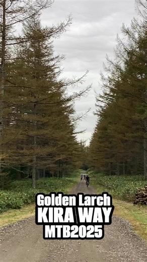 北海道満喫MTBトレイルツアー森、牧場、沼、川渡り、 山、ダブルトラックにシングルトラック🚲#キラウェイ #MTB #佐伯農場 #牧舎 #ゴールデンラーチ #摩周 #中標津 | ひぐまサイクル