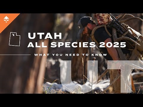 Want to Pick Up a Hunting Tag In Utah? | Must Know Information!