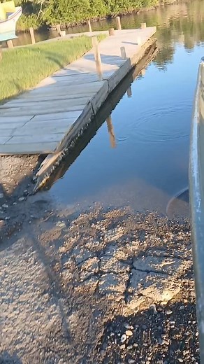 35 reactions · 4 comments | Full of shad with the cast net. #castnetting #saltwatersabtv #Louisiana #CastNetFishing #castnet #saltwaterfishing | Lance Billiot | Facebook