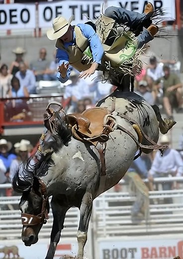 148K views · 1.3K reactions | #rodeo #cowboy | Rodeo Cowboy Hall of Fame | Facebook