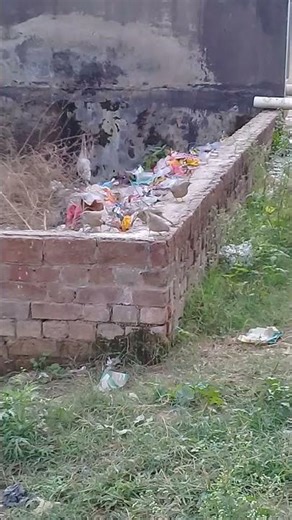 White Stray pup with Brown pup in evening | Summers | Mountain Village | Nature Buddies -animals -uk