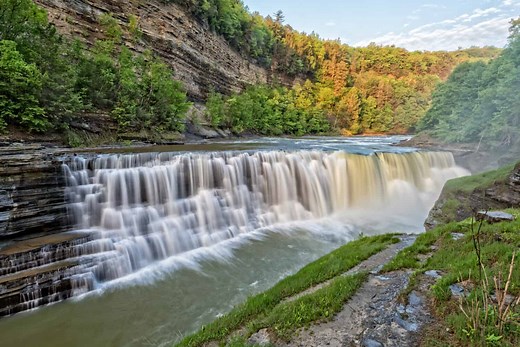 From Bald Eagles to Black Bears: Animals of New York's Letchworth State Park