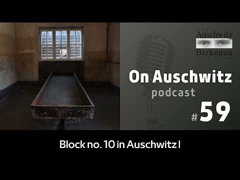 "On Auschwitz" (59): Block no. 10 in Auschwitz I & sterilization experiments