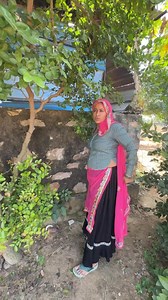 250K views · 7.6K reactions | Pipal Ki Shadi.. | Mintu Meena | Facebook