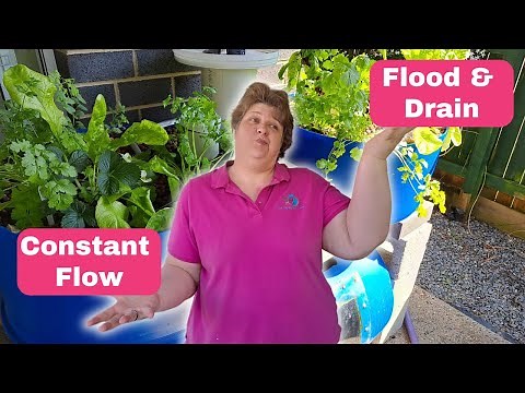 Flood & Drain VS Constant Flow in Aquaponics Systems: The Visual