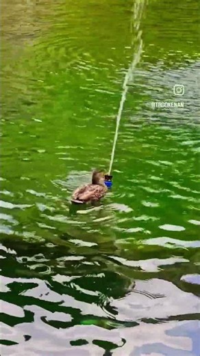 River Buna Blagaj | Peaceful Nature Walk