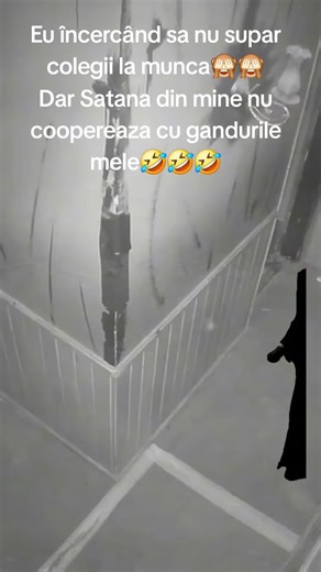 Camelia (@..camelia91)’s videos with Body A Shake - Shaggy