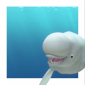 522K views · 353 reactions | You’ll have a whale of a time getting to know Bailey, one of the new stars of Finding Dory. | Dory | Facebook