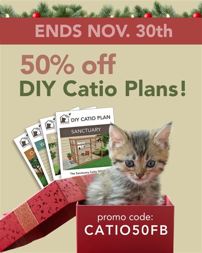 LAST CHANCE!!! SALE ENDS NOV.30th! THE BIGGEST CATIO SALE OF THE YEAR IS ALMOST OVER! 😻 ✨ SHOP & SHARE the joy of catios today, this sale won’t last long! (ends 11/30/25) 👉𝗨𝘀𝗲 𝗰𝗼𝗱𝗲 𝗖𝗔𝗧𝗜𝗢𝟱𝟬𝗙𝗕 𝗮𝘁 𝗰𝗵𝗲𝗰𝗸𝗼𝘂𝘁 𝘁𝗼 𝘀𝗮𝘃𝗲 𝟱𝟬%! We’re sharing our gratitude to all the amazing cat lovers out there, with a LIMITED-TIME 50% OFF all our DIY Catio Plans! 🐾 Build it yourself or hire a local carpenter, either way, your cat gets the gift of fresh air and safe outdoor fun all year 