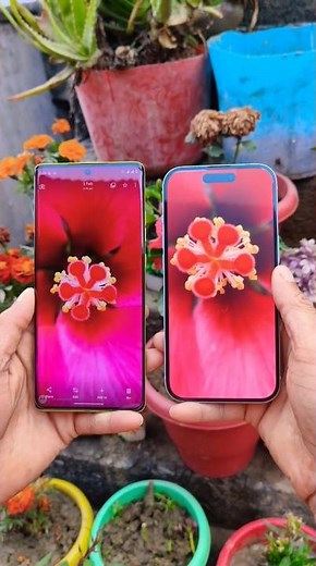 Motorola G85 5G🆚iPhone 15⚡Camera Test📸#iphone15 #viralshorts #motog85 #viral #shorts #trending #tech