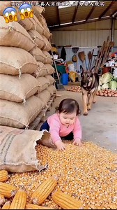 Omg very good job dog | Asmit Kumar